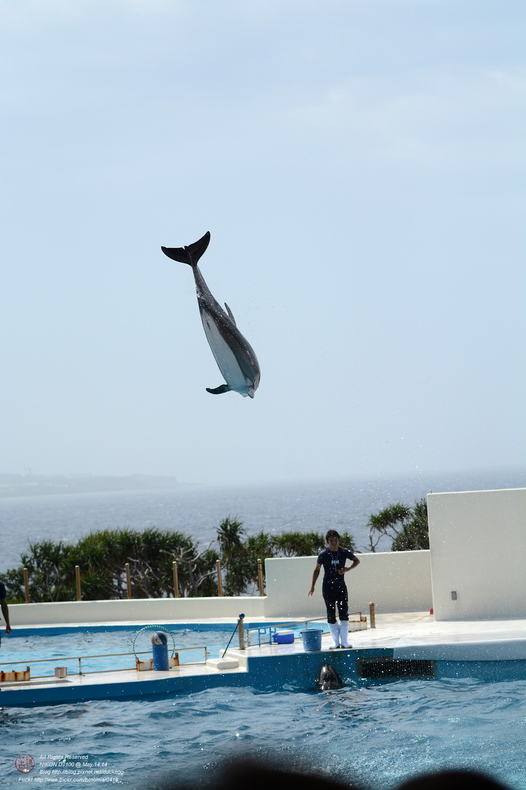 DSC_3085.jpg